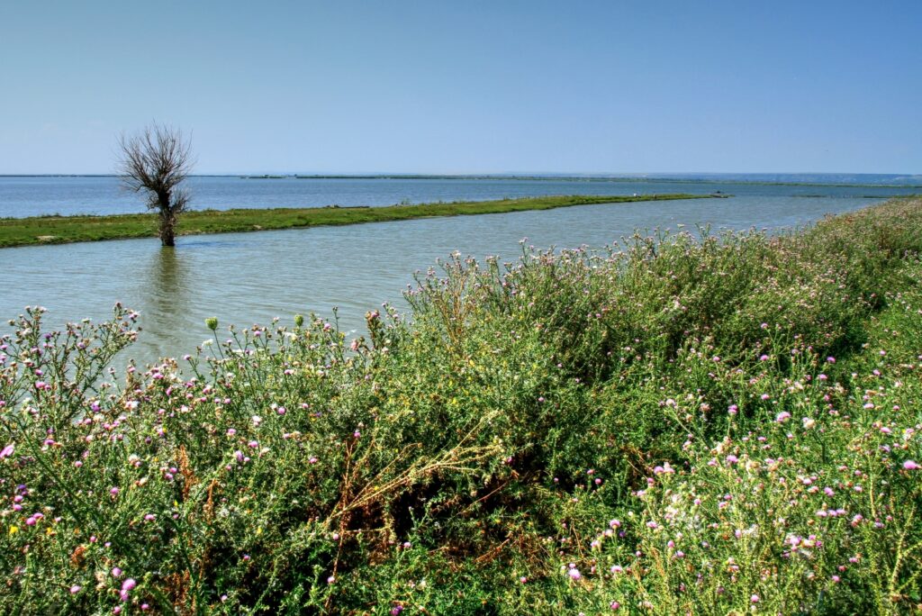 Lacul Manta din Cahul: peisaje și păsări în lunca Prutului